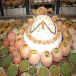 Vraj-Yatra-2014- (926)